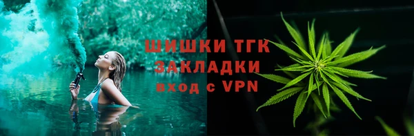 крисы Абаза