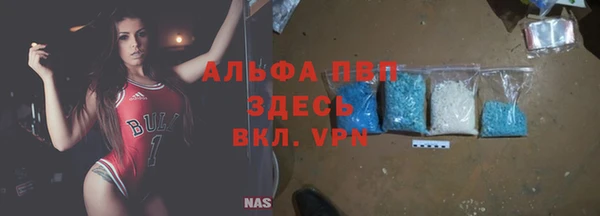 крисы Абаза