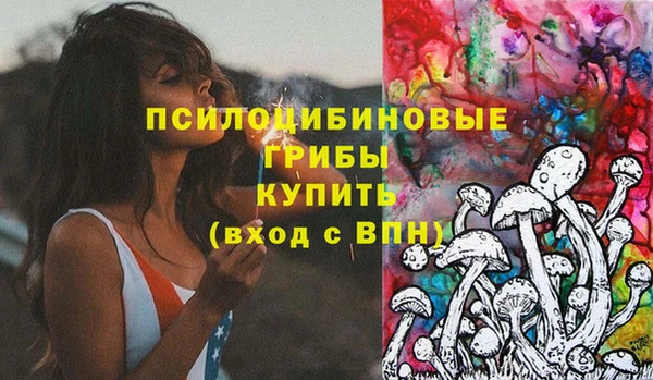крисы Абаза
