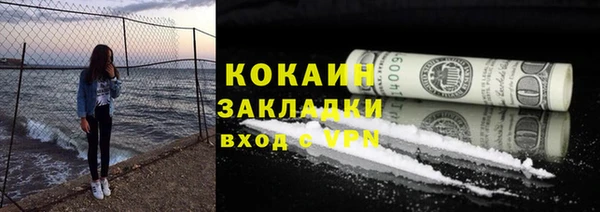 крисы Абаза
